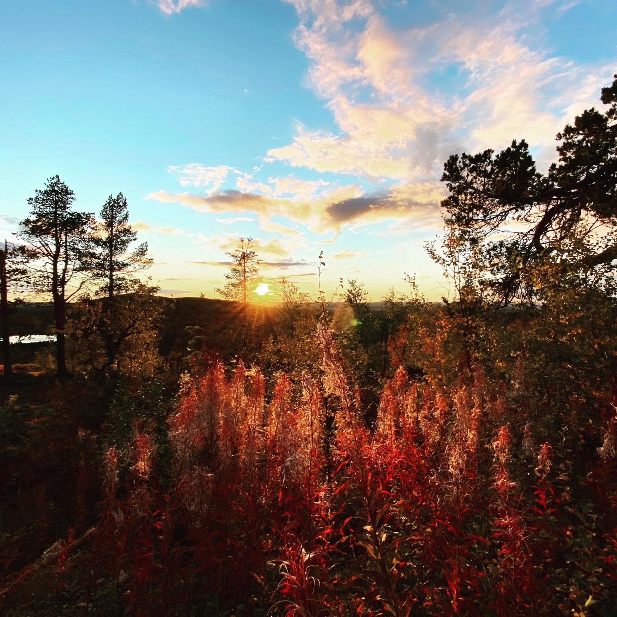 Balder Luxury Lodge Levi Dış mekan fotoğraf